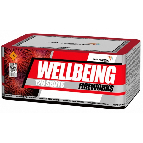 Wellbeing Fireworks